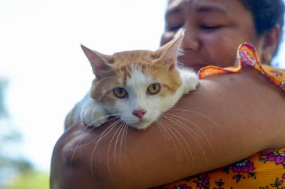 Praça Brasil recebe Feira de Adoção de Cães e Gatos