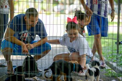 Praça Brasil recebe Feira de Adoção de Cães e Gatos