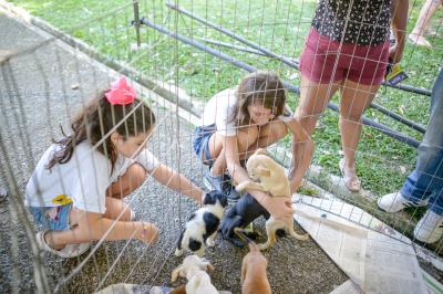 Praça Brasil recebe Feira de Adoção de Cães e Gatos