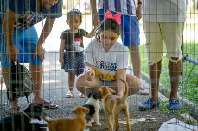 Praça Brasil recebe Feira de Adoção de Cães e Gatos