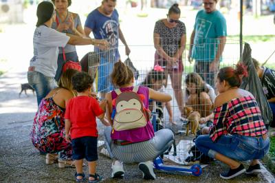 Praça Brasil recebe Feira de Adoção de Cães e Gatos