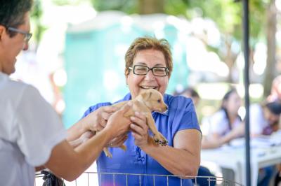 Praça Brasil recebe Feira de Adoção de Cães e Gatos