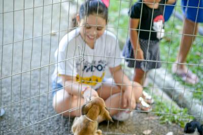 Praça Brasil recebe Feira de Adoção de Cães e Gatos