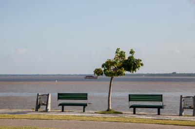 Prefeitura e comunidade cultivam mudas no Portal da Amazônia
