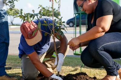 Prefeitura e comunidade cultivam mudas no Portal da Amazônia
