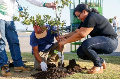 Prefeitura e comunidade cultivam mudas no Portal da Amazônia