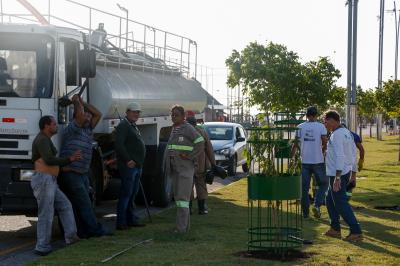 Prefeitura e comunidade cultivam mudas no Portal da Amazônia
