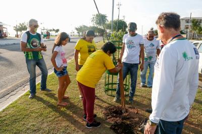 Prefeitura e comunidade cultivam mudas no Portal da Amazônia