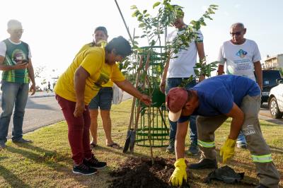 Prefeitura e comunidade cultivam mudas no Portal da Amazônia