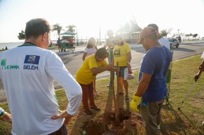 Prefeitura e comunidade cultivam mudas no Portal da Amazônia