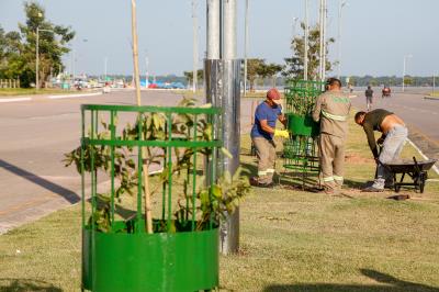 Prefeitura e comunidade cultivam mudas no Portal da Amazônia