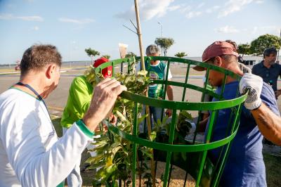 Prefeitura e comunidade cultivam mudas no Portal da Amazônia