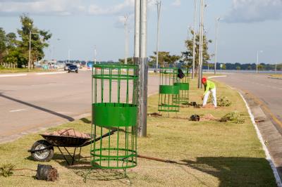 Prefeitura e comunidade cultivam mudas no Portal da Amazônia