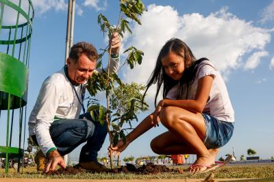 Prefeitura e comunidade cultivam mudas no Portal da Amazônia