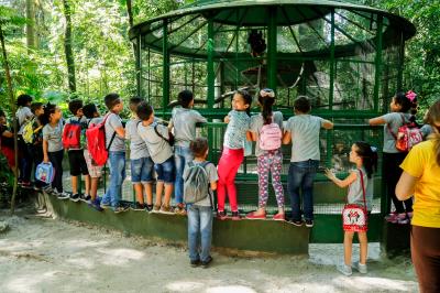 Dia do Folclore é celebrado no Bosque Rodrigues Alves com programação especial
