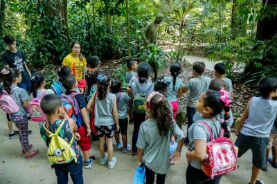 Dia do Folclore é celebrado no Bosque Rodrigues Alves com programação especial