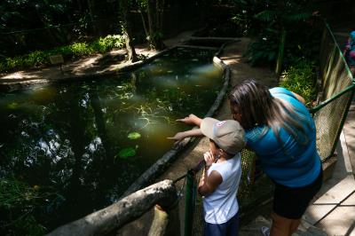 Bosque Rodrigues Alves completa 136 anos e comemora com atividades ambientais