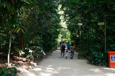 Bosque Rodrigues Alves completa 136 anos e comemora com atividades ambientais