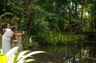 Bosque Rodrigues Alves completa 136 anos e comemora com atividades ambientais