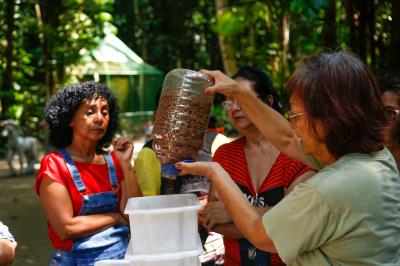 Bosque Rodrigues Alves completa 136 anos e comemora com atividades ambientais