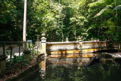 Bosque Rodrigues Alves completa 136 anos e comemora com atividades ambientais