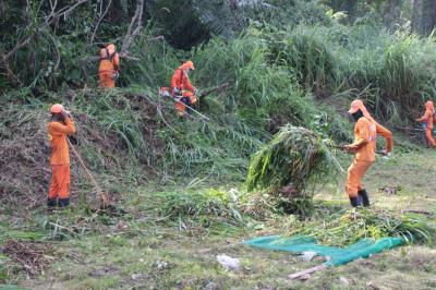Prefeitura leva mutirão de limpeza à avenida Perimetral