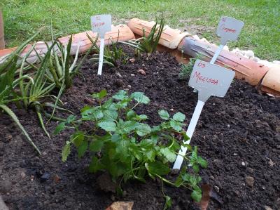 Semec promove aulas de educação ambiental para professores municipais