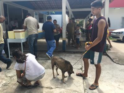 Cerca de 28 mil animais domésticos são vacinados contra a raiva em Belém
