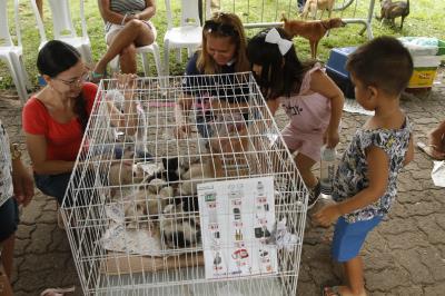 Praça do Marex recebe Feira de Adoção de Cães e Gatos neste domingo