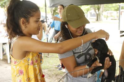 Praça do Marex recebe Feira de Adoção de Cães e Gatos neste domingo