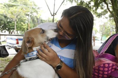 Praça do Marex recebe Feira de Adoção de Cães e Gatos neste domingo