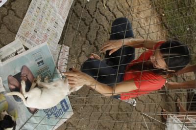 Praça do Marex recebe Feira de Adoção de Cães e Gatos neste domingo