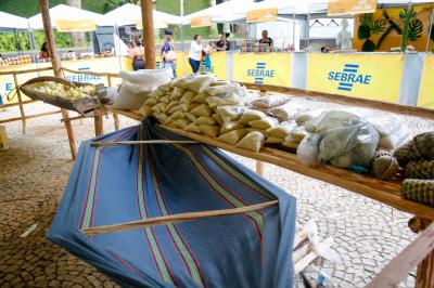 Merendeiras da rede municipal de ensino participam de aulas com chefs de outros estados