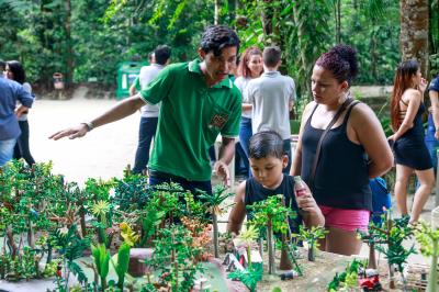 Bosque Rodrigues Alves comemora Dia da Árvore com os visitantes