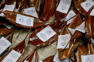 Bosque Rodrigues Alves comemora Dia da Árvore com os visitantes