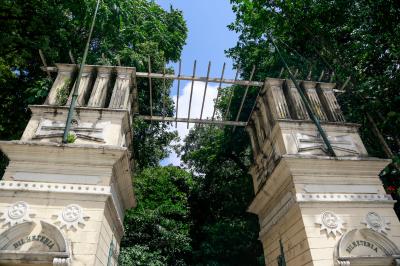 Bosque Rodrigues Alves comemora Dia da Árvore com os visitantes