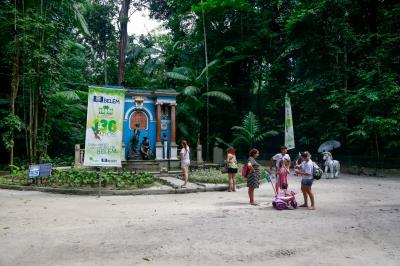 Bosque Rodrigues Alves comemora Dia da Árvore com os visitantes