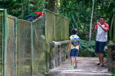 Bosque Rodrigues Alves comemora Dia da Árvore com os visitantes