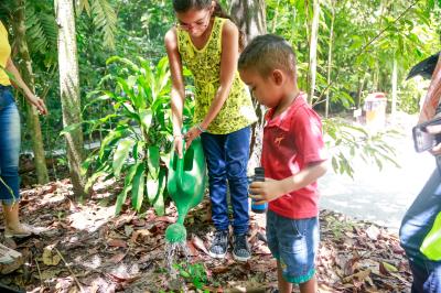 Bosque Rodrigues Alves comemora Dia da Árvore com os visitantes