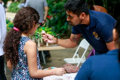 Bosque Rodrigues Alves comemora Dia da Árvore com os visitantes