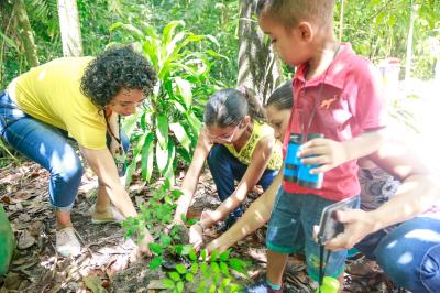 Bosque Rodrigues Alves comemora Dia da Árvore com os visitantes