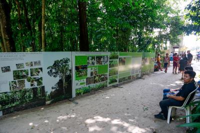 Bosque Rodrigues Alves comemora Dia da Árvore com os visitantes