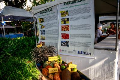 Merenda escolar municipal premiada é destaque em feira gastronômica