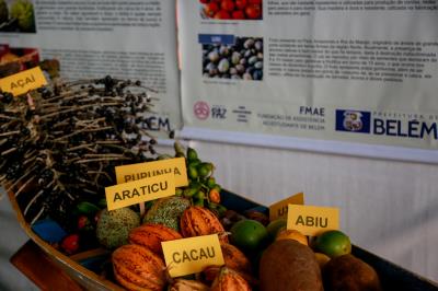 Merenda escolar municipal premiada é destaque em feira gastronômica