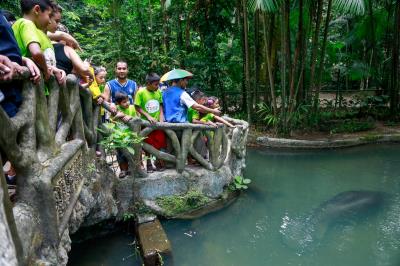 Bosque Rodrigues Alves comemora Dia da Fauna e aniversário do peixe-boi Cajuru