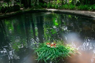 Bosque Rodrigues Alves comemora Dia da Fauna e aniversário do peixe-boi Cajuru