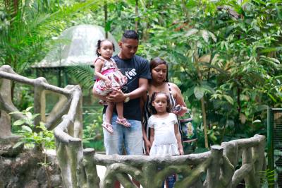 Bosque Rodrigues Alves comemora Dia da Fauna e aniversário do peixe-boi Cajuru