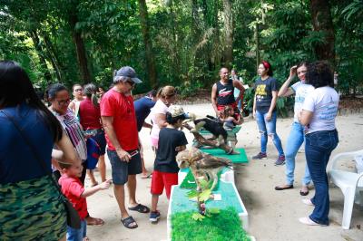 Bosque Rodrigues Alves comemora Dia da Fauna e aniversário do peixe-boi Cajuru