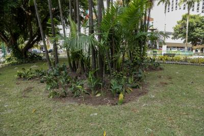 Semma recupera áreas verdes de jardins em praças de Belém após o Círio