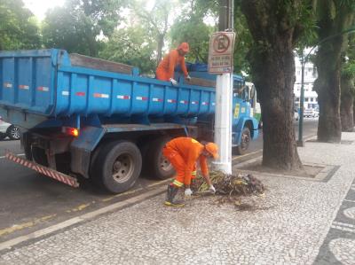 Semma recupera áreas verdes de jardins em praças de Belém após o Círio